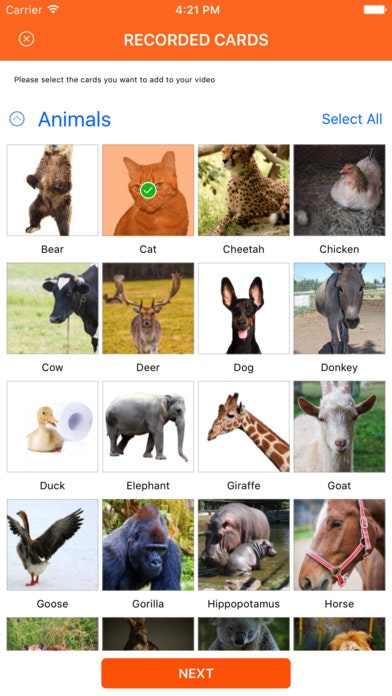 Speechvid gallery image