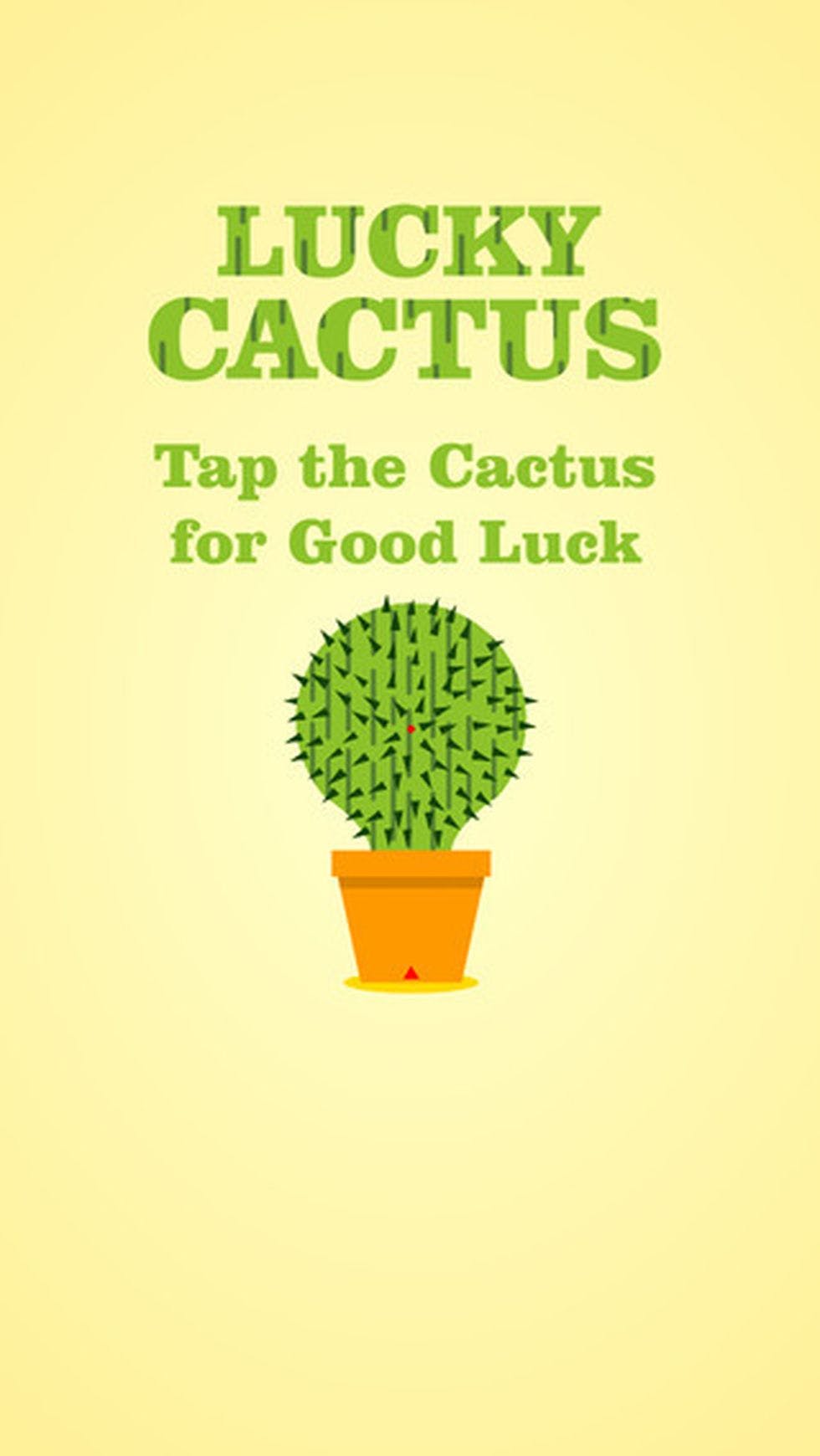 Lucky Cactus media 1
