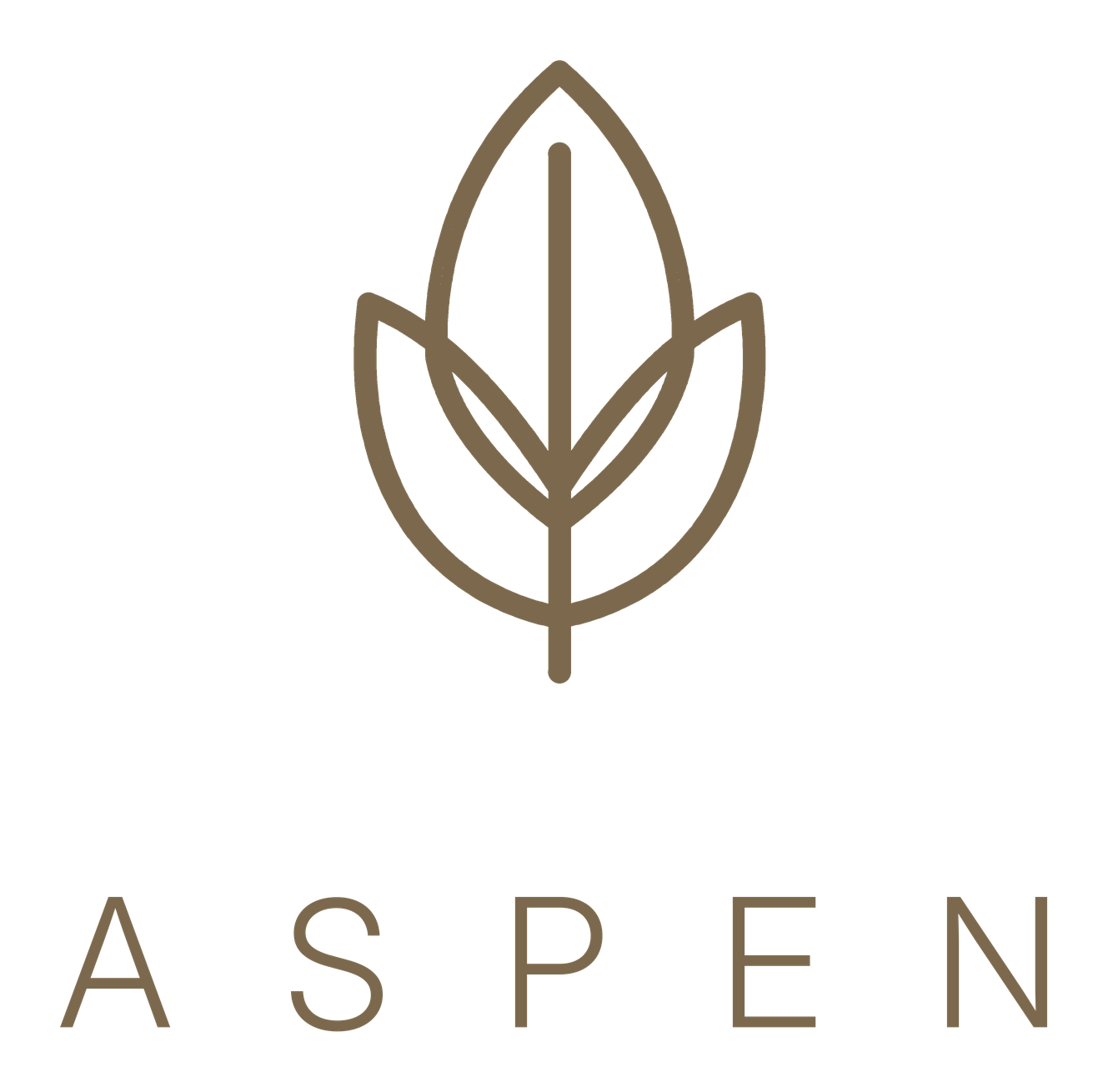 Aspen — Own your intelligence gallery image