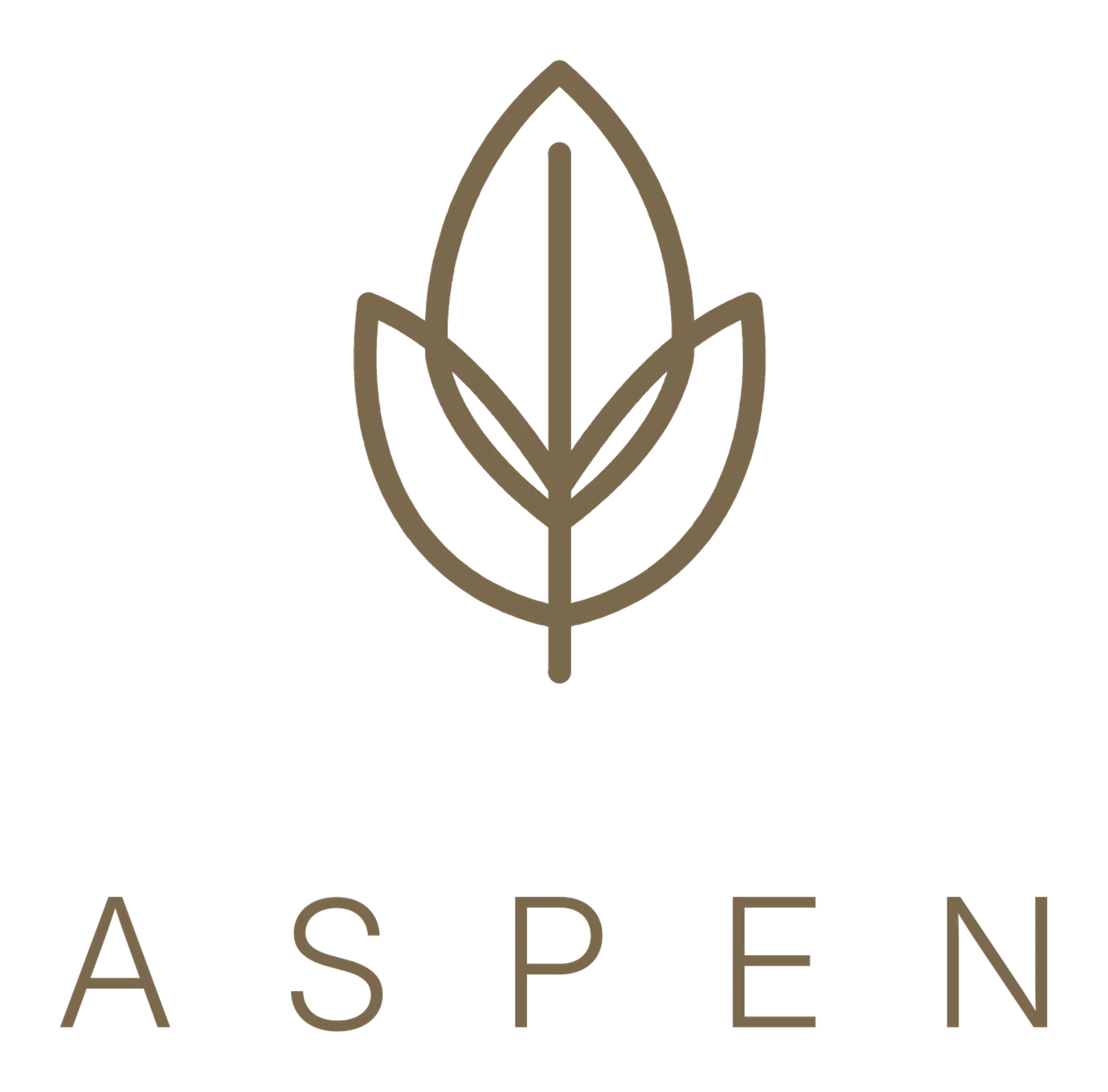 Aspen — Own your intelligence screenshot 4