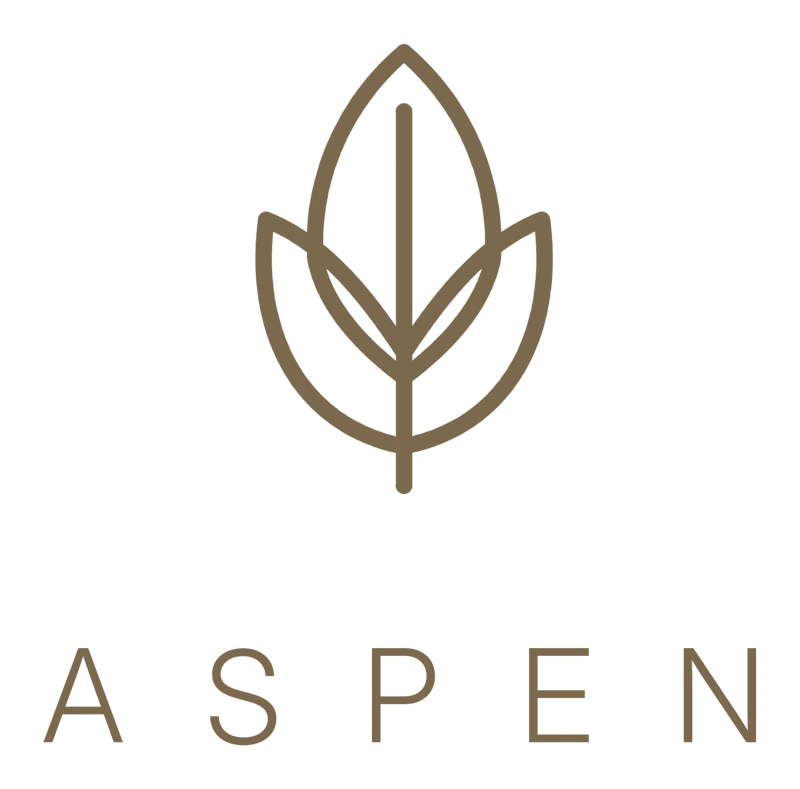 Aspen — Own your intelligence screenshot 4