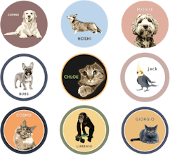 Pixter gallery image