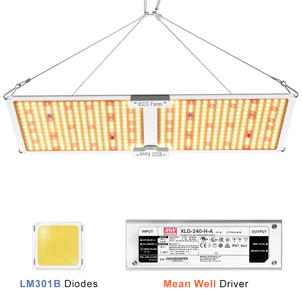 ECO FARM LM301B 220WQUANTUM BOARD