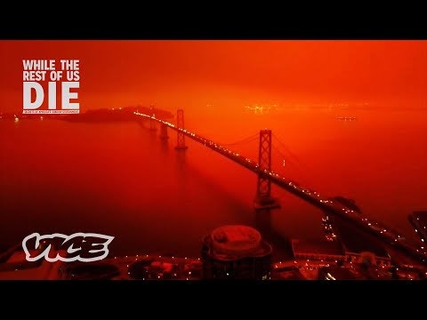 COMPANION gallery image