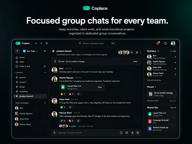 Coplace screenshot 2