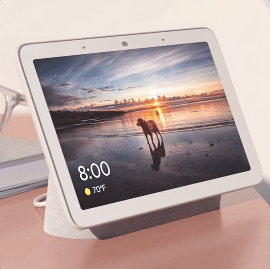 Google Home Max Image
