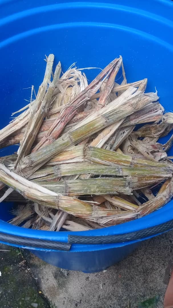 बायोगैस रनर - अपने घर से बायोगैस प्रयोग चलाएं मीडिया 3