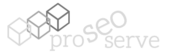 SEO Services Company