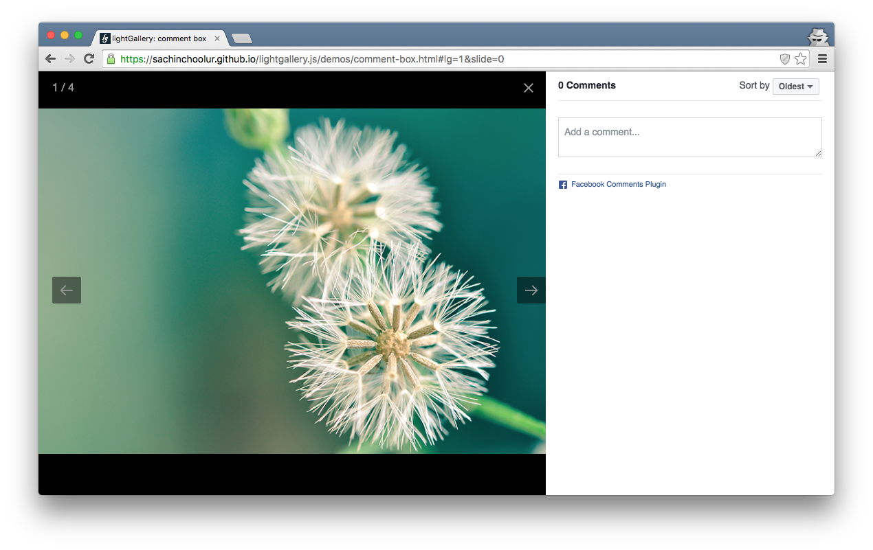 lightgallery.js gallery image