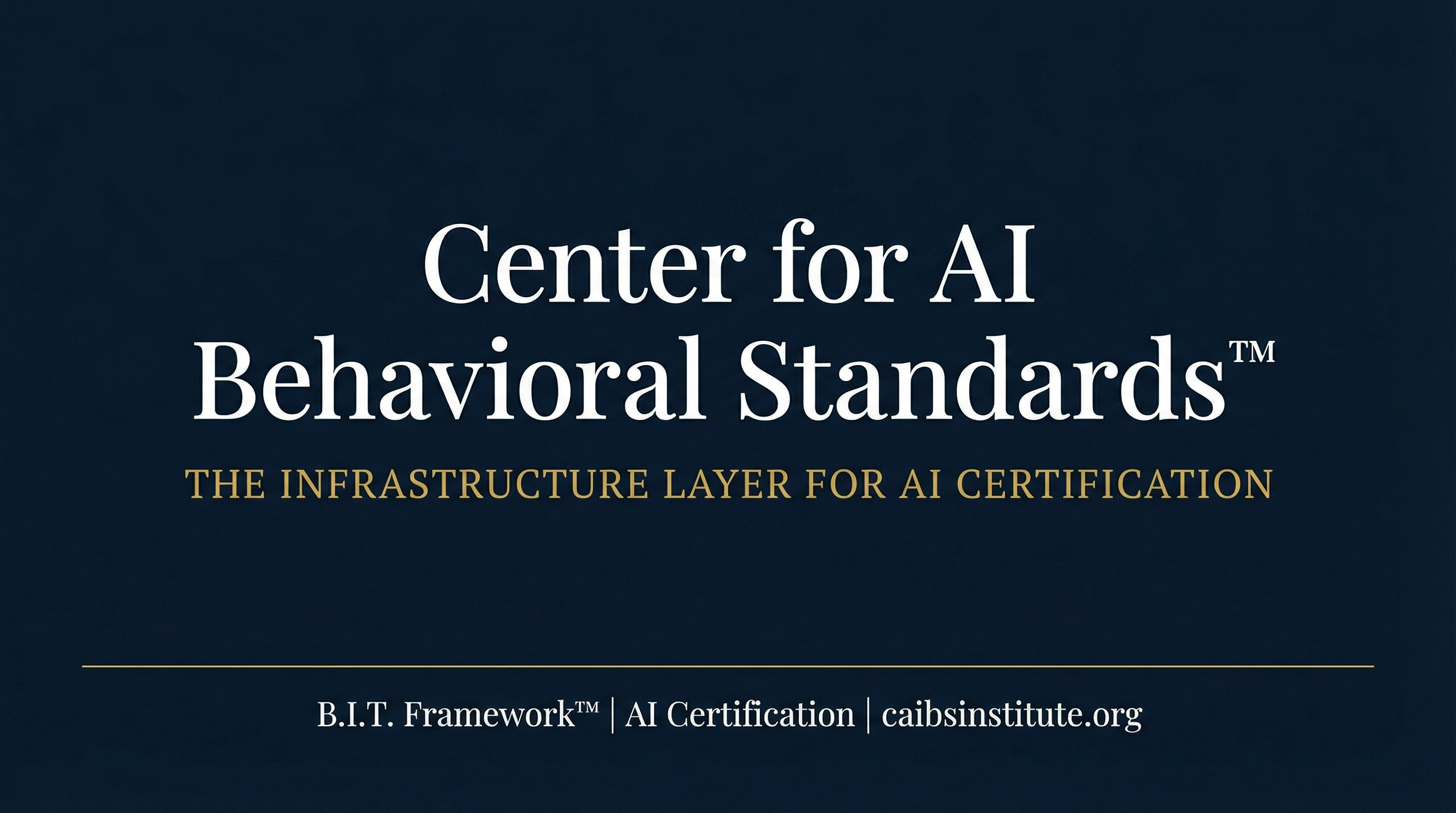 CAIBS Center for AI Behavioral Standards gallery image