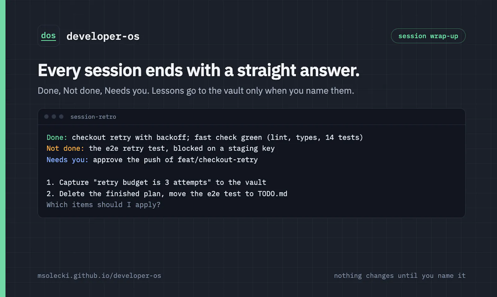 Developer OS screenshot 5