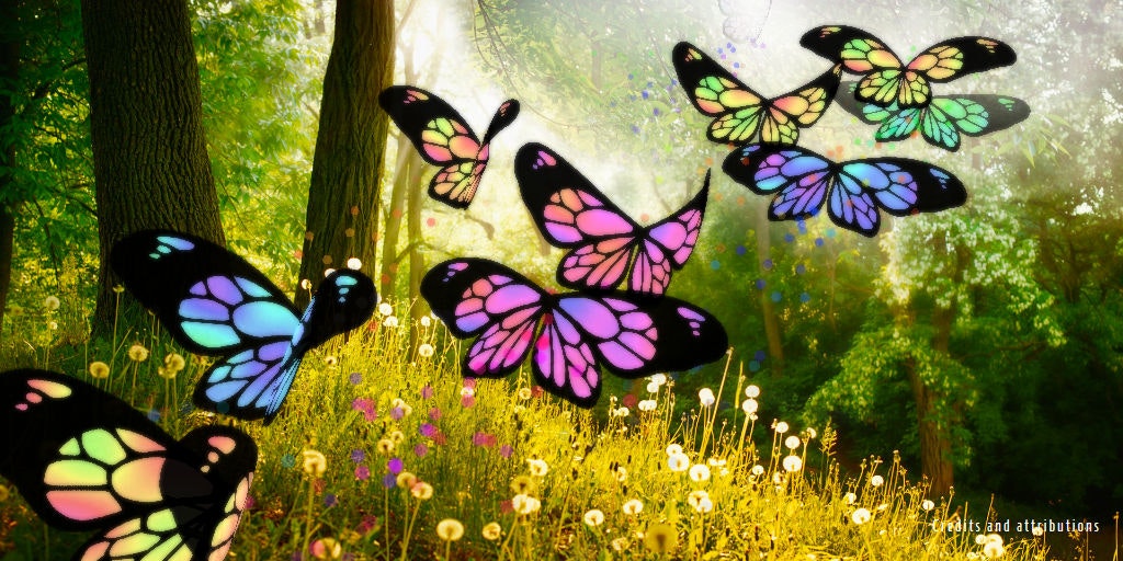 Harmony gallery image