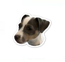 Mau.town π» gallery image