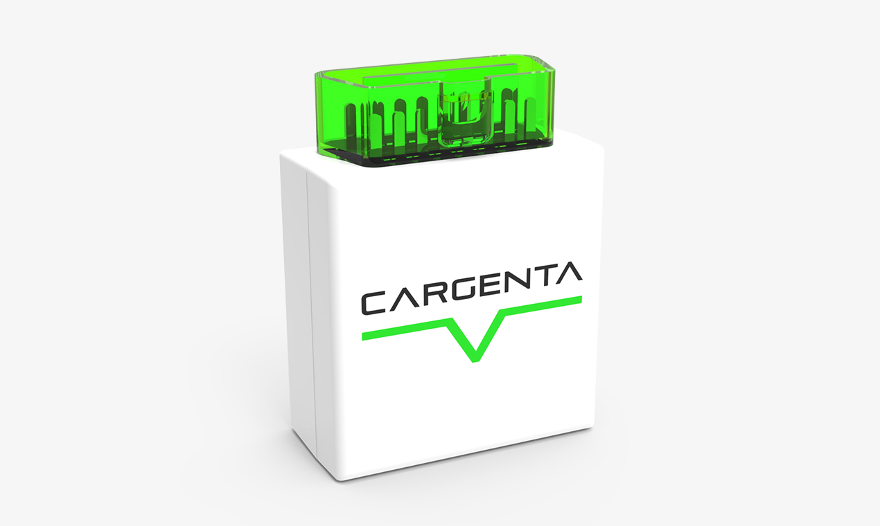 Cargenta Brain gallery image