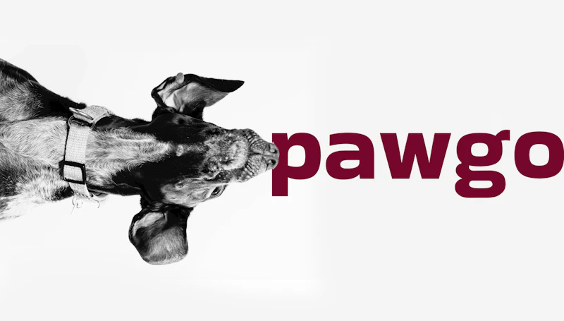 Pawgo screenshot 2