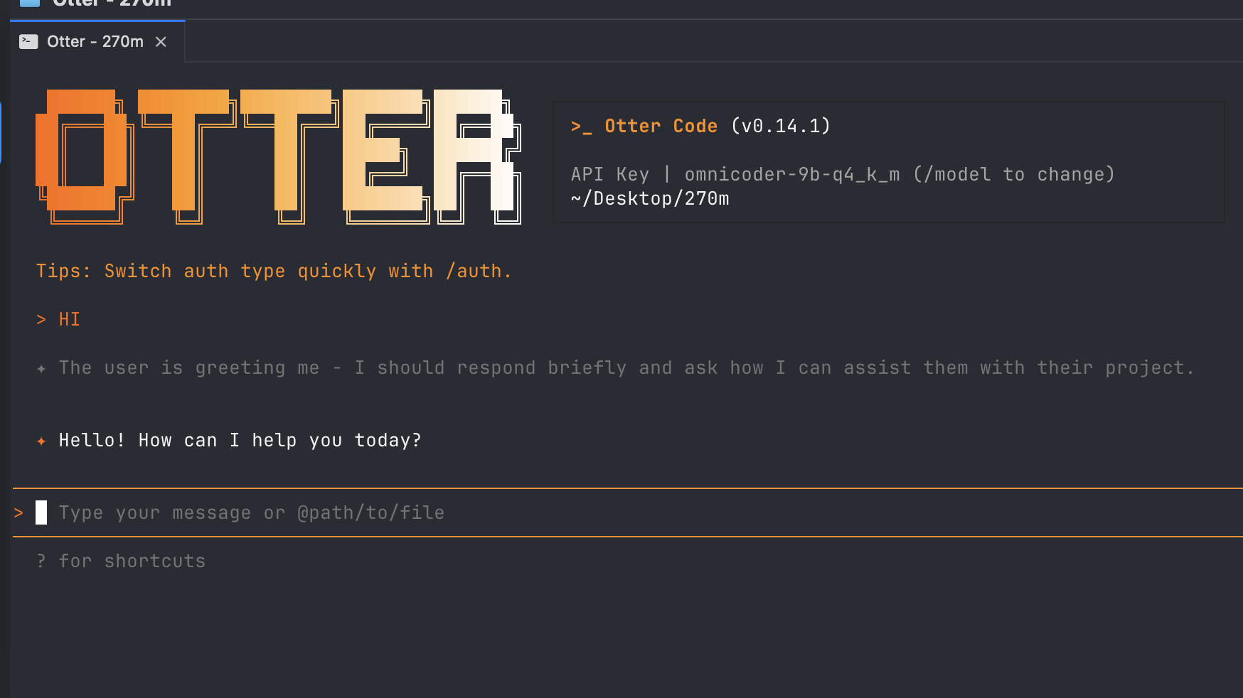 Otter Code gallery image