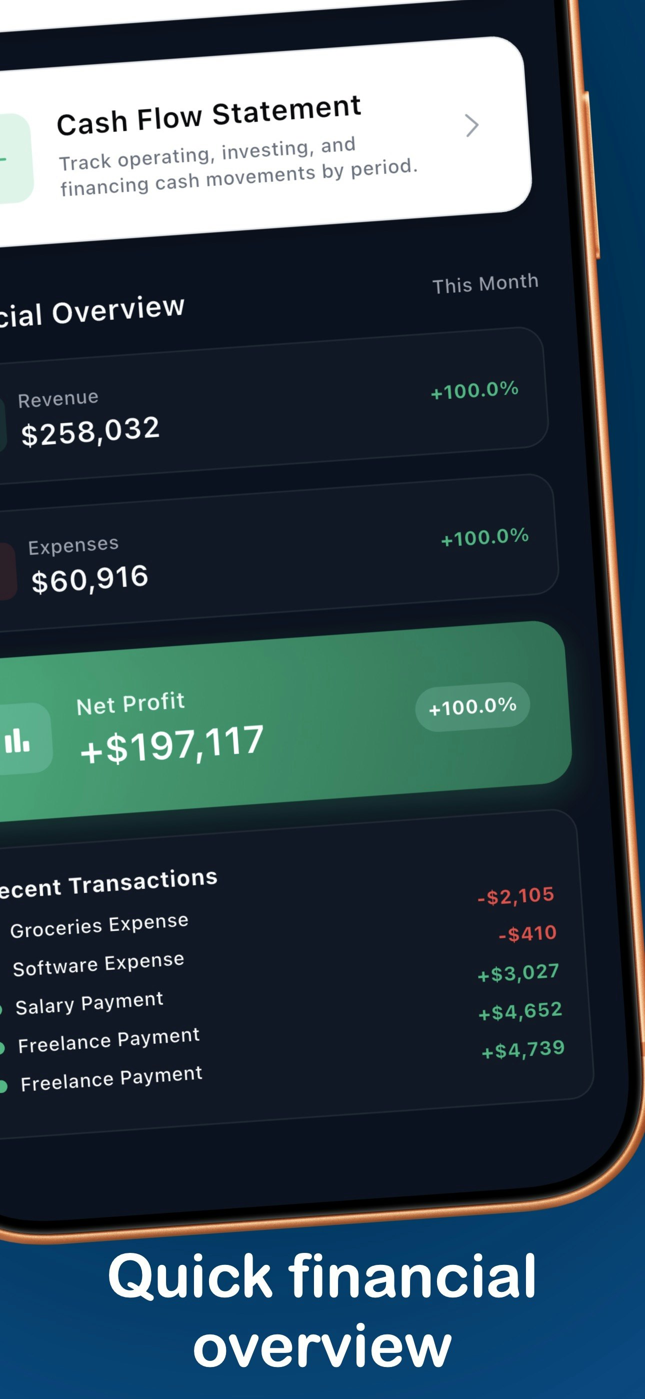 LedgerIQ gallery image