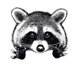 A little raccoon buddy