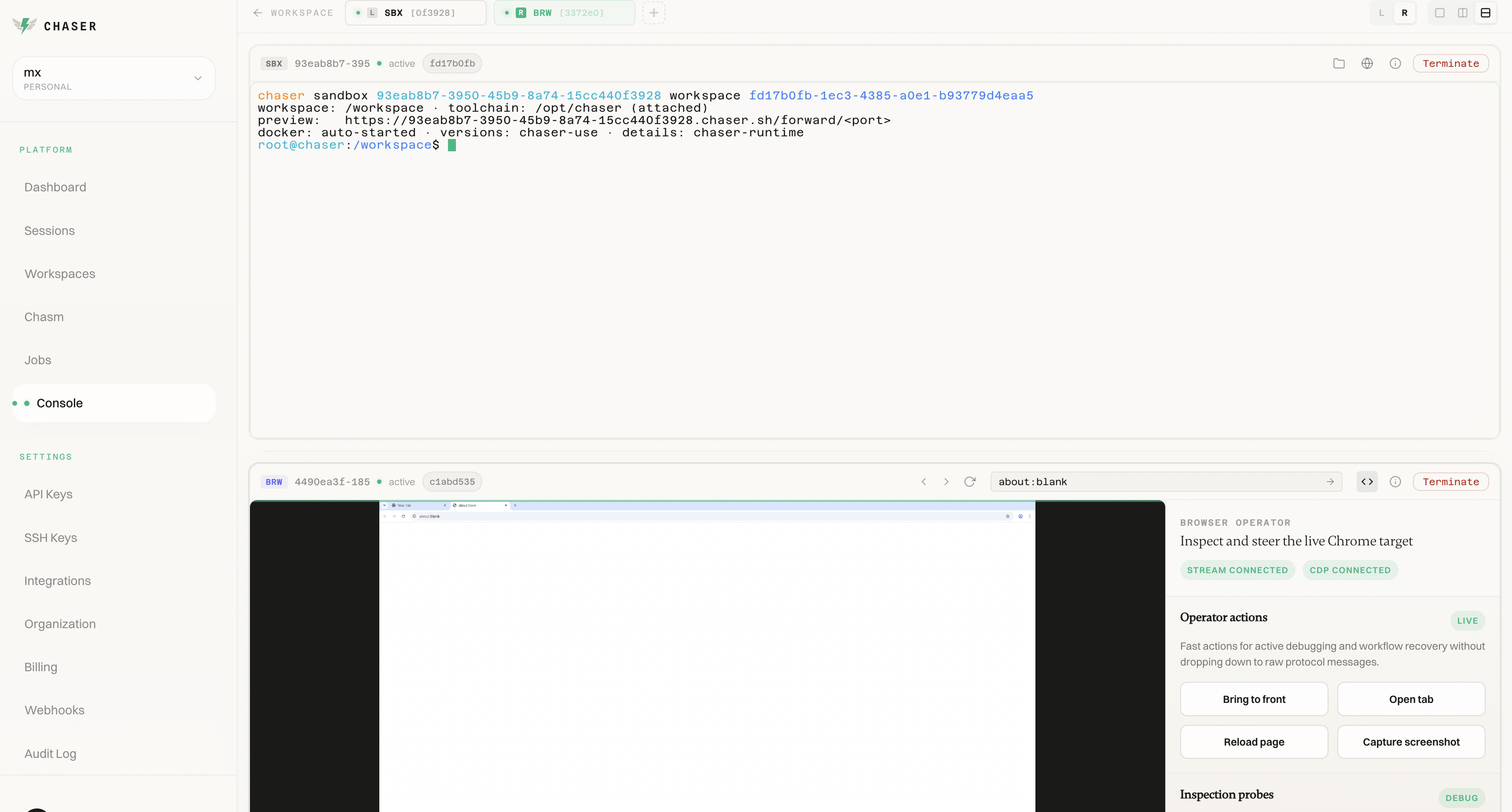 chaser.sh gallery image