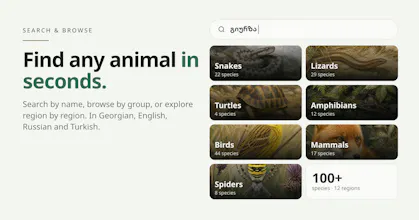 Reptiles gallery image