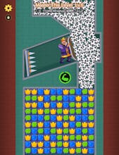 Play Save the King gallery image