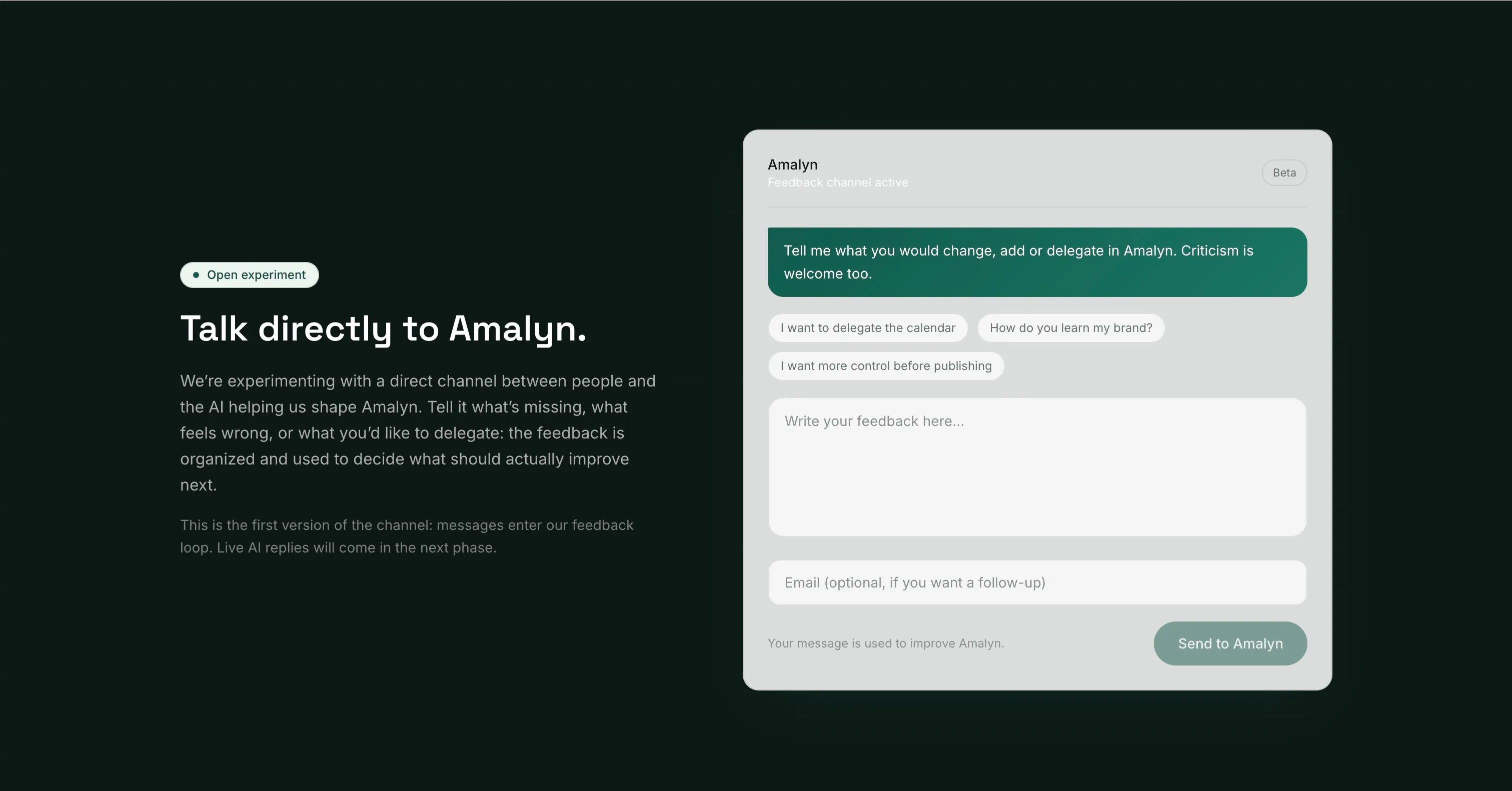 Amalyn AI gallery image