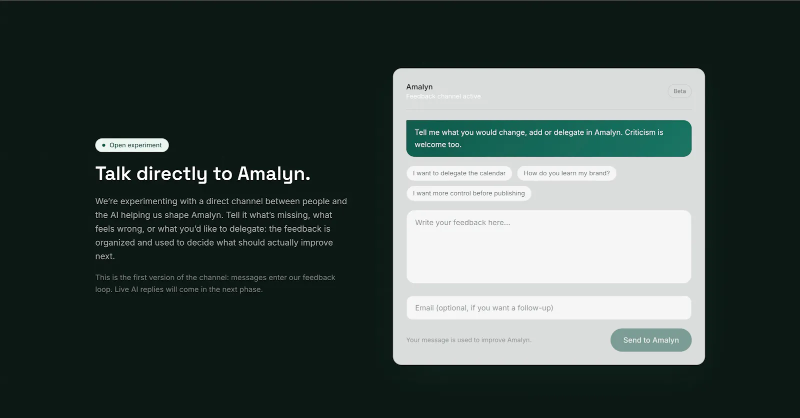 Amalyn AI screenshot 3