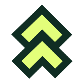 Leaderr.io
