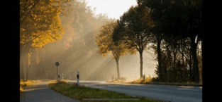 FaSloMo gallery image