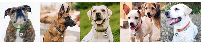 Guardian Orb gallery image