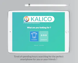 Kalico gallery image