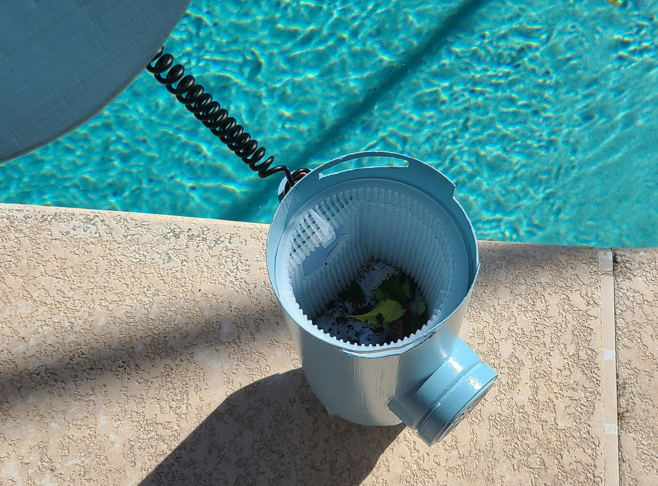 The Mussel gallery image