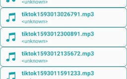 Tik Tok Song Downloader media 3