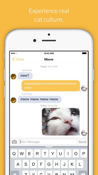 Cat Chat gallery image