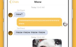Cat Chat media 3