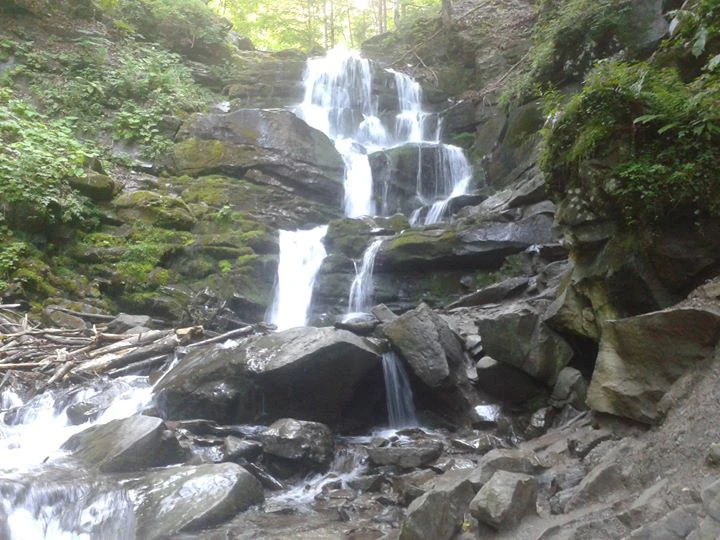 4Elena Kalinova+ cover