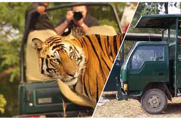 Corbett Jeep Safari