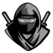 delta-executors.co - Product Hunt launch logo and brand identity