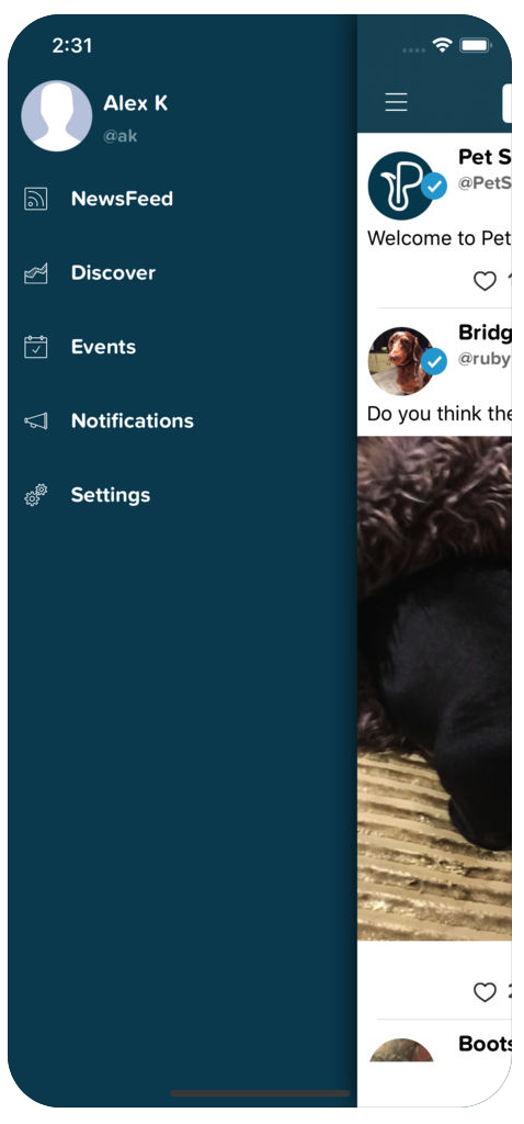 PetScene gallery image