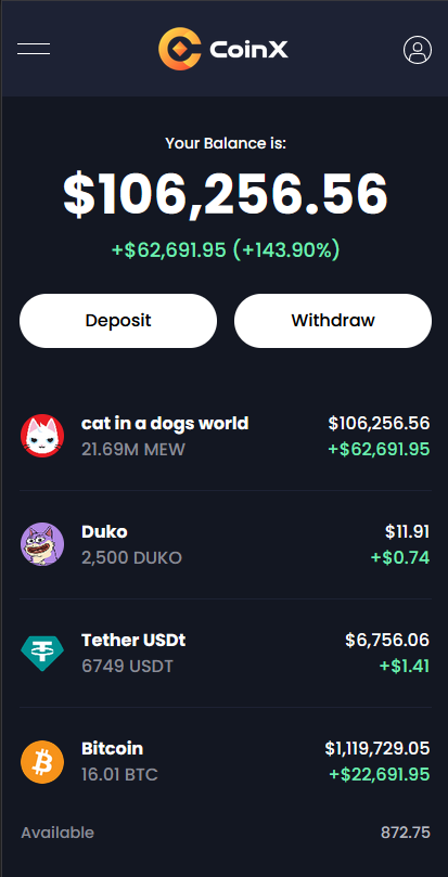 CoinX.so media 1