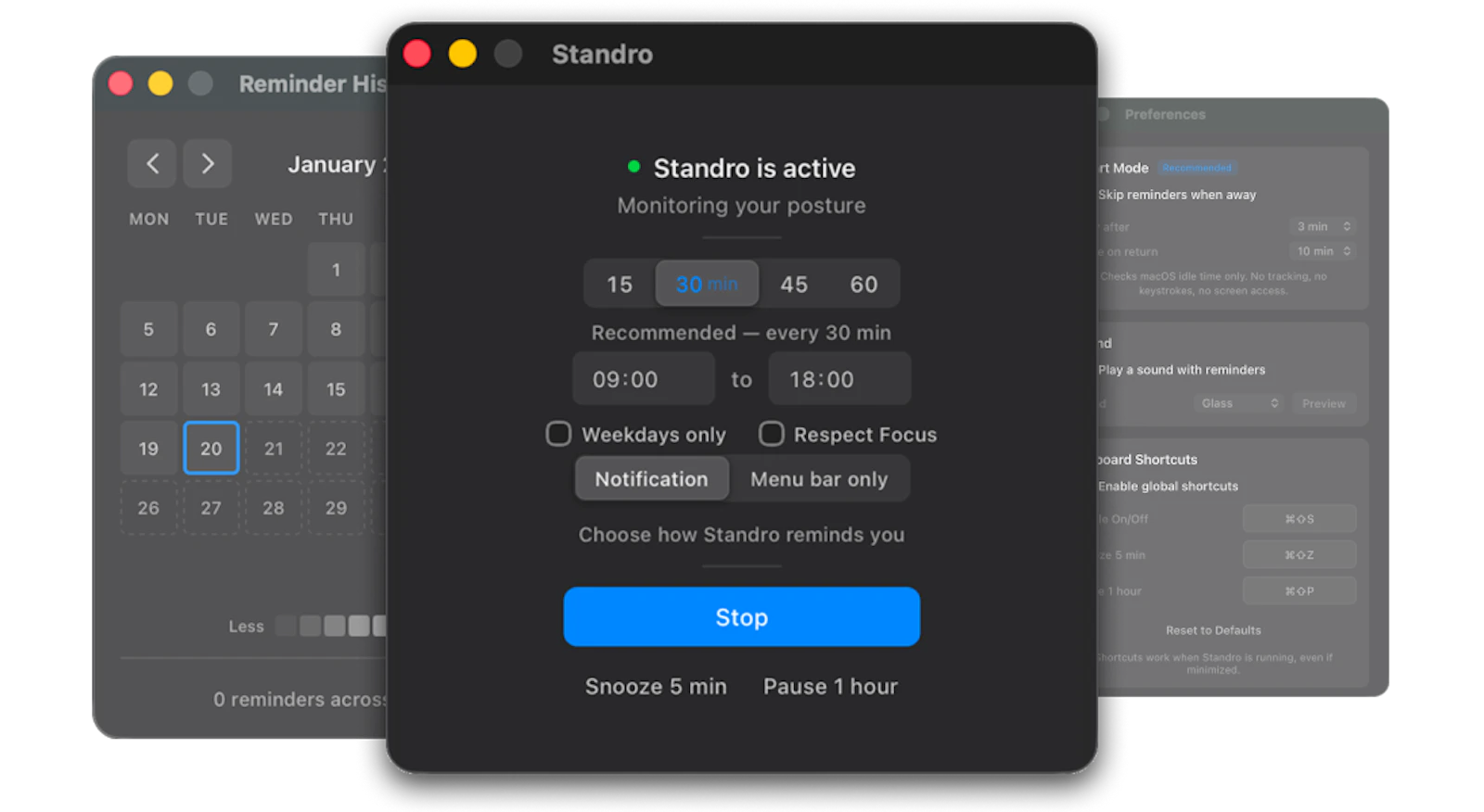 Standro screenshot 2