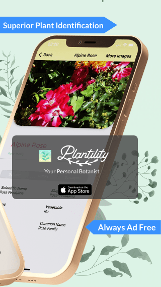 Plantility Plant Scanner gallery image