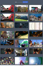Hachi gallery image