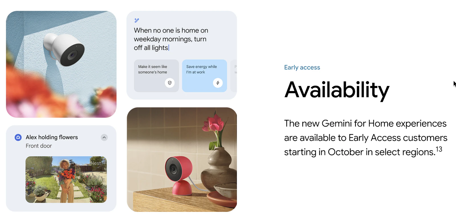 Gemini for Home screenshot 8