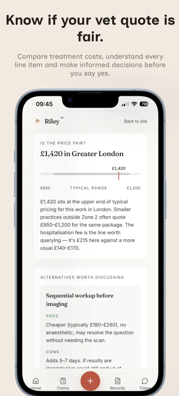 Riley gallery image