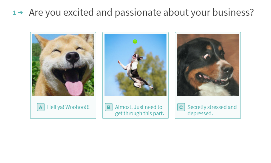 Entreflow gallery image