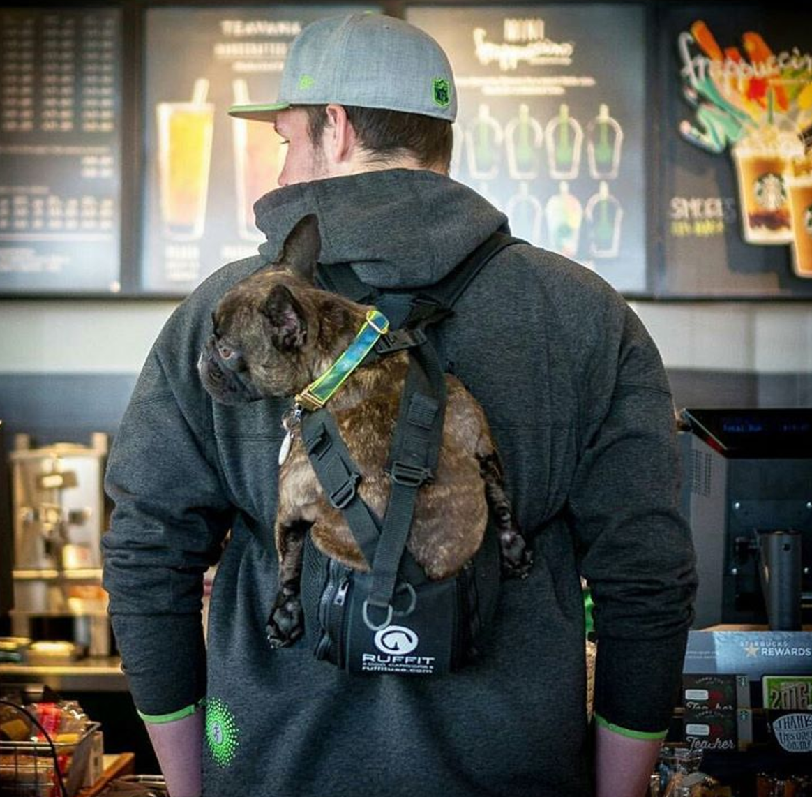 Ruffit Dog Carrier A backpack for carrying your dog 🐶 Product Hunt