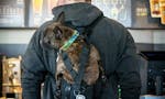 Ruffit Dog Carrier image
