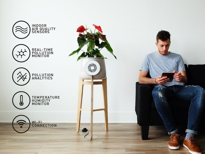 Clairy gallery image