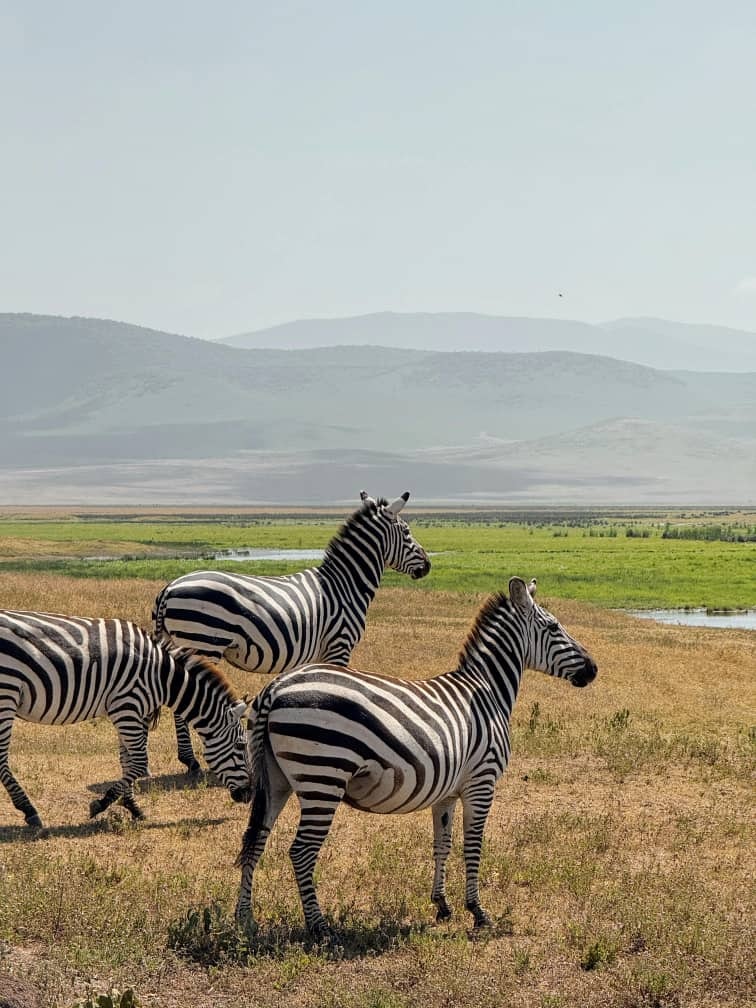 Africantrust Safari gallery image